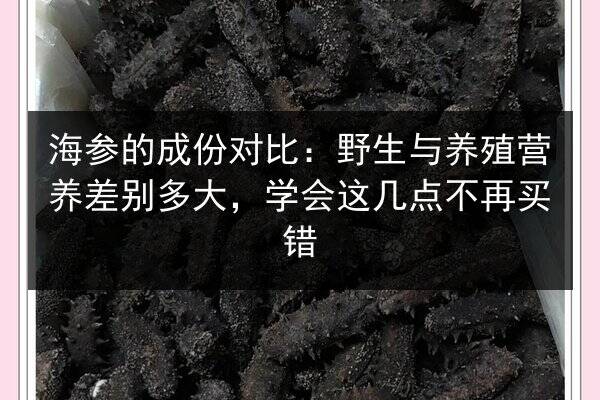 海参的成份对比:野生与养殖营养差别多大,学会这几点不再买错