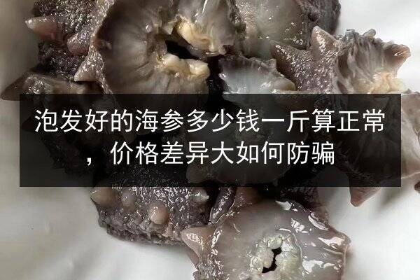 泡发好的海参多少钱一斤算正常，价格差异大如何防骗