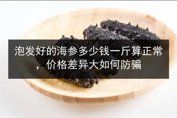 泡发好的海参多少钱一斤算正常，价格差异大如何防骗