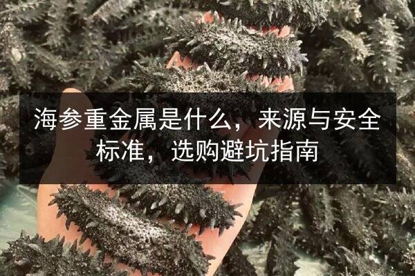 海参重金属是什么，来源与安全标准，选购避坑指南