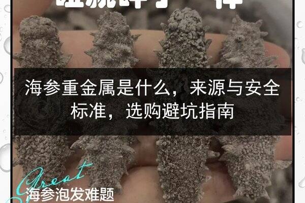 海参重金属是什么，来源与安全标准，选购避坑指南