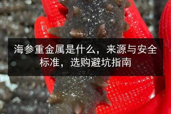 海参重金属是什么，来源与安全标准，选购避坑指南