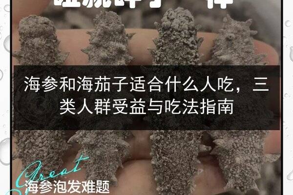 海参和海茄子适合什么人吃，三类人群受益与吃法指南