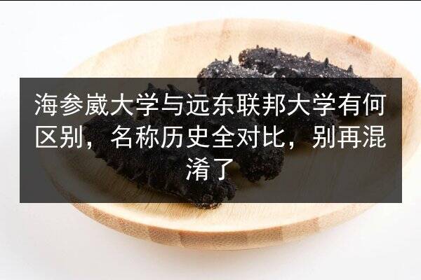 海参崴大学与远东联邦大学有何区别,名称历史全对比,别再混淆了