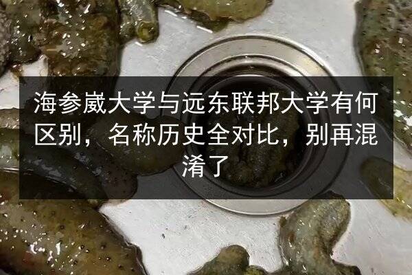 海参崴大学与远东联邦大学有何区别,名称历史全对比,别再混淆了