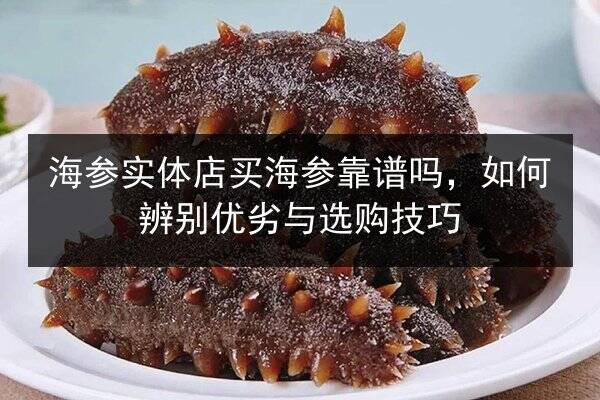 海参实体店买海参靠谱吗，如何辨别优劣与选购技巧