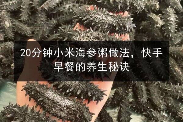 20分钟小米海参粥做法,快手早餐的养生秘诀