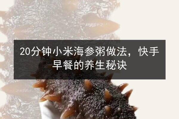 20分钟小米海参粥做法,快手早餐的养生秘诀