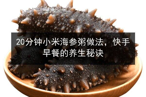 20分钟小米海参粥做法,快手早餐的养生秘诀