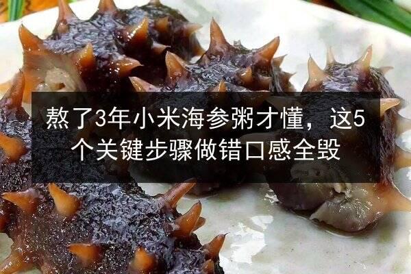 熬了3年小米海参粥才懂,这5个关键步骤做错口感全毁
