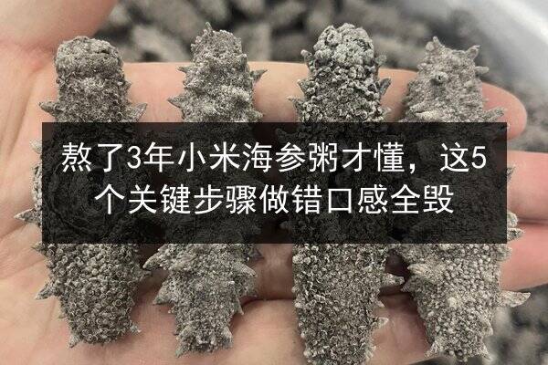 熬了3年小米海参粥才懂,这5个关键步骤做错口感全毁