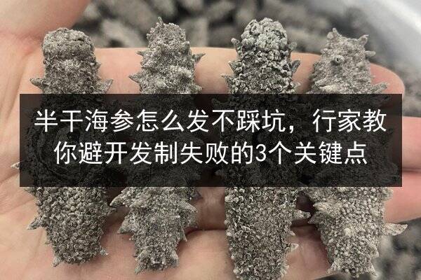 半干海参怎么发不踩坑,行家教你避开发制失败的3个关键点