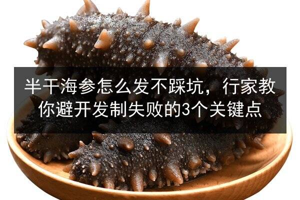 半干海参怎么发不踩坑,行家教你避开发制失败的3个关键点