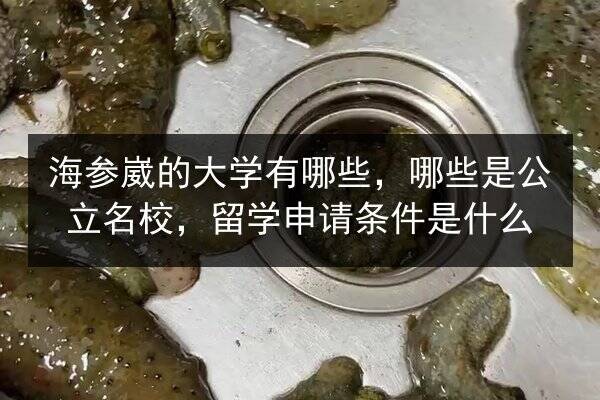 海参崴的大学有哪些,哪些是公立名校,留学申请条件是什么