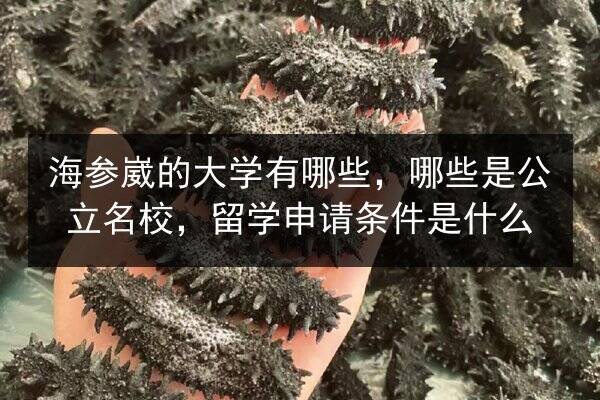 海参崴的大学有哪些,哪些是公立名校,留学申请条件是什么