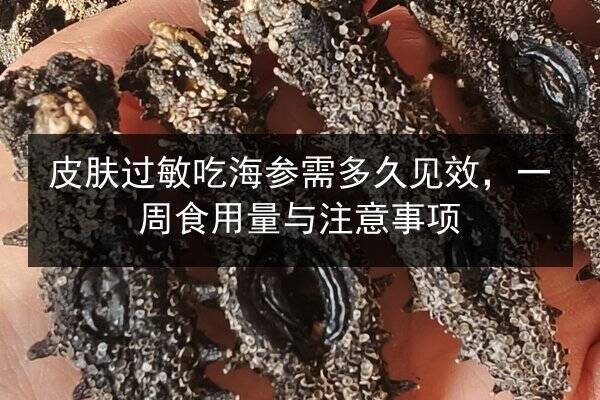 皮肤过敏吃海参需多久见效,一周食用量与注意事项