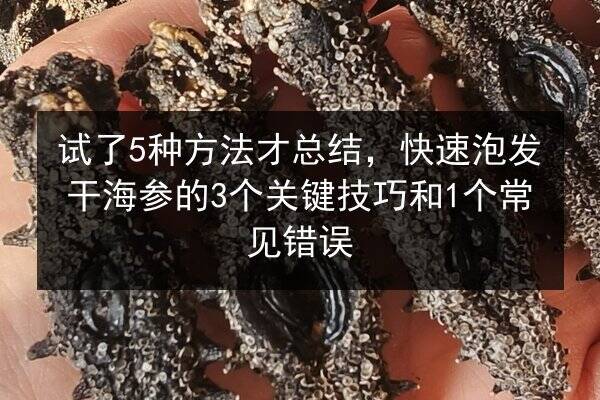 试了5种方法才总结,快速泡发干海参的3个关键技巧和1个常见错误