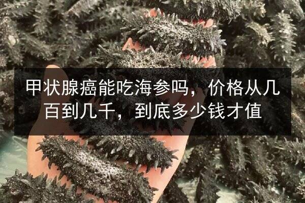 甲状腺癌能吃海参吗，价格从几百到几千，到底多少钱才值