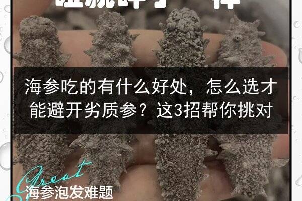 海参吃的有什么好处,怎么选才能避开劣质参?这3招帮你挑对