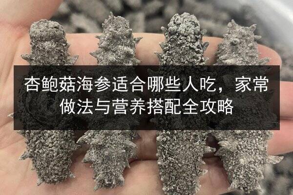 杏鲍菇海参适合哪些人吃,家常做法与营养搭配全攻略