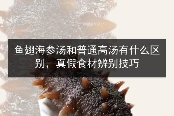 鱼翅海参汤和普通高汤有什么区别，真假食材辨别技巧
