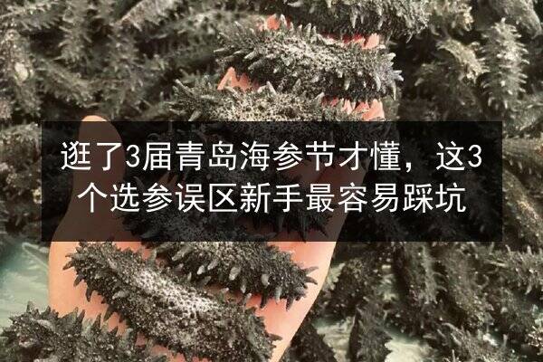 逛了3届青岛海参节才懂,这3个选参误区新手最容易踩坑