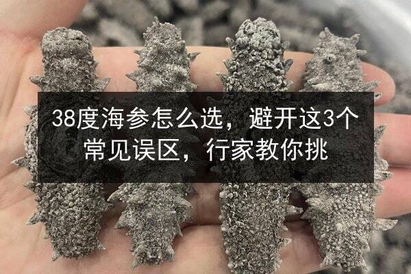 38度海参怎么选，避开这3个常见误区，行家教你挑
