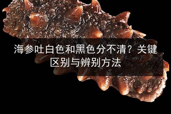 海参吐白色和黑色分不清?关键区别与辨别方法