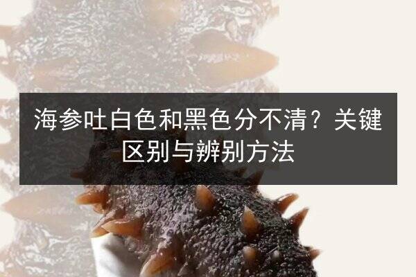 海参吐白色和黑色分不清?关键区别与辨别方法