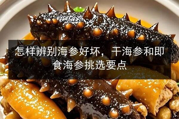 怎样辨别海参好坏,干海参和即食海参挑选要点
