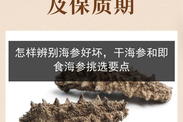 怎样辨别海参好坏,干海参和即食海参挑选要点