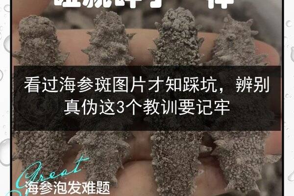 看过海参斑图片才知踩坑,辨别真伪这3个教训要记牢