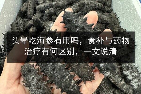 头晕吃海参有用吗,食补与药物治疗有何区别,一文说清