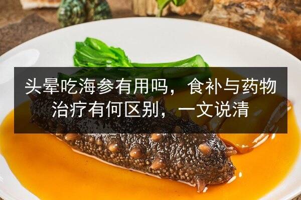 头晕吃海参有用吗,食补与药物治疗有何区别,一文说清
