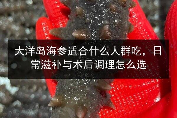 大洋岛海参适合什么人群吃,日常滋补与术后调理怎么选