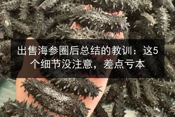出售海参圈后总结的教训:这5个细节没注意,差点亏本
