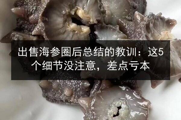 出售海参圈后总结的教训:这5个细节没注意,差点亏本