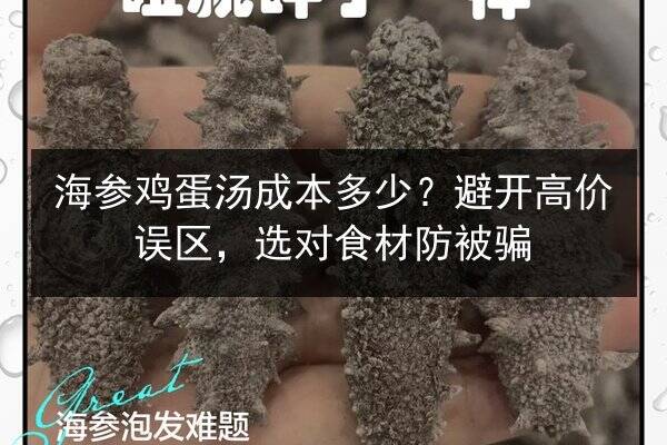 海参鸡蛋汤成本多少?避开高价误区,选对食材防被骗