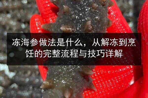 冻海参做法是什么,从解冻到烹饪的完整流程与技巧详解
