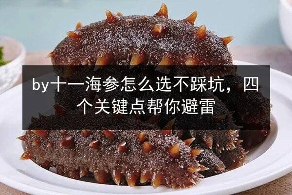 by十一海参怎么选不踩坑，四个关键点帮你避雷