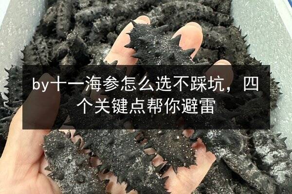 by十一海参怎么选不踩坑，四个关键点帮你避雷