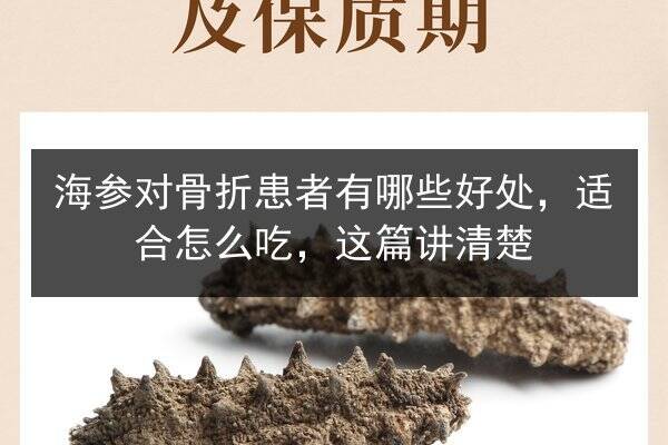 海参对骨折患者有哪些好处,适合怎么吃,这篇讲清楚