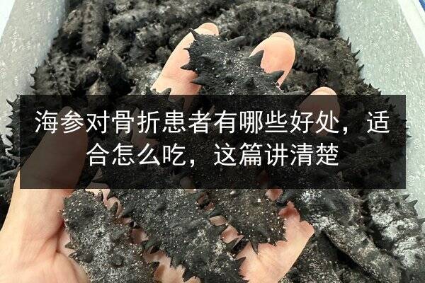 海参对骨折患者有哪些好处,适合怎么吃,这篇讲清楚