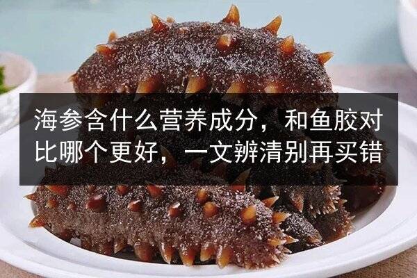 海参含什么营养成分，和鱼胶对比哪个更好，一文辨清别再买错