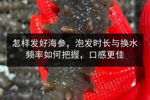 怎样发好海参,泡发时长与换水频率如何把握,口感更佳