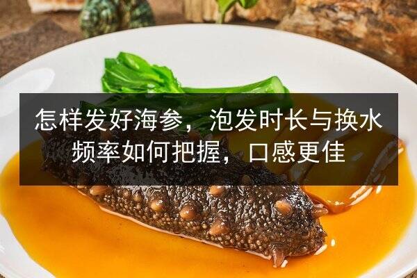 怎样发好海参,泡发时长与换水频率如何把握,口感更佳