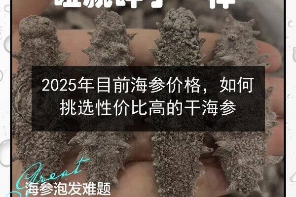 2025年目前海参价格,如何挑选性价比高的干海参