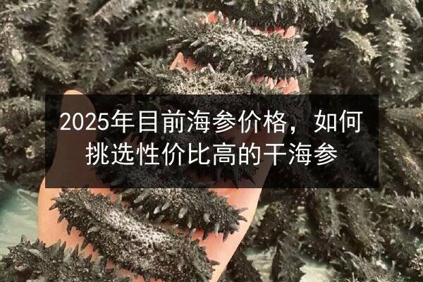 2025年目前海参价格,如何挑选性价比高的干海参