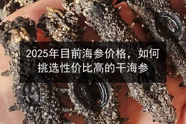 2025年目前海参价格,如何挑选性价比高的干海参