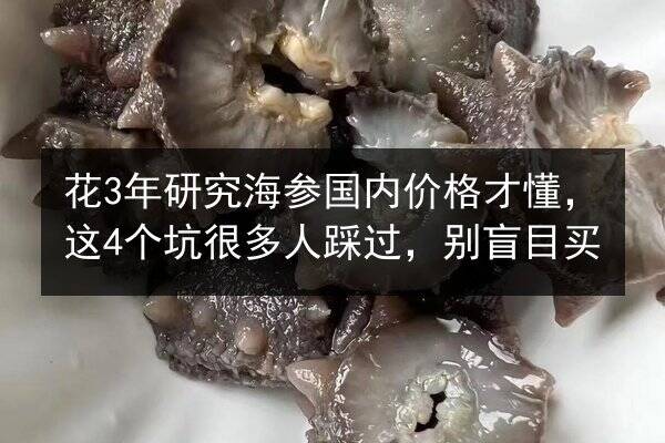 花3年研究海参国内价格才懂，这4个坑很多人踩过，别盲目买
